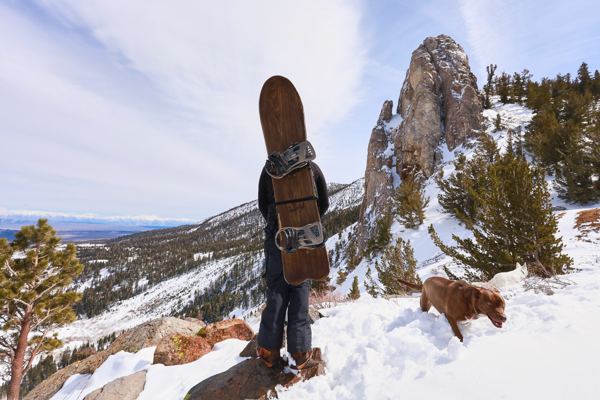 p-shirley_davewinslow-mammoth2