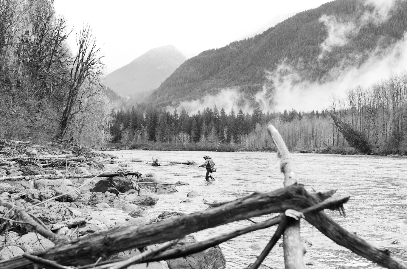 steelhead, flyfishing, pacific northwest, washington state